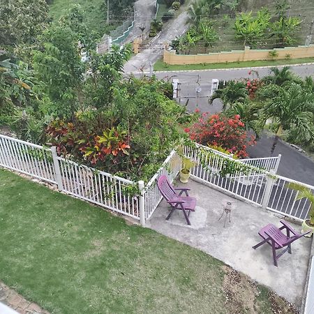 Destiny Palms Apt Belleair Exterior foto