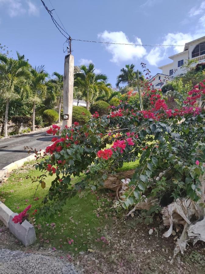 Destiny Palms Apt Belleair Exterior foto
